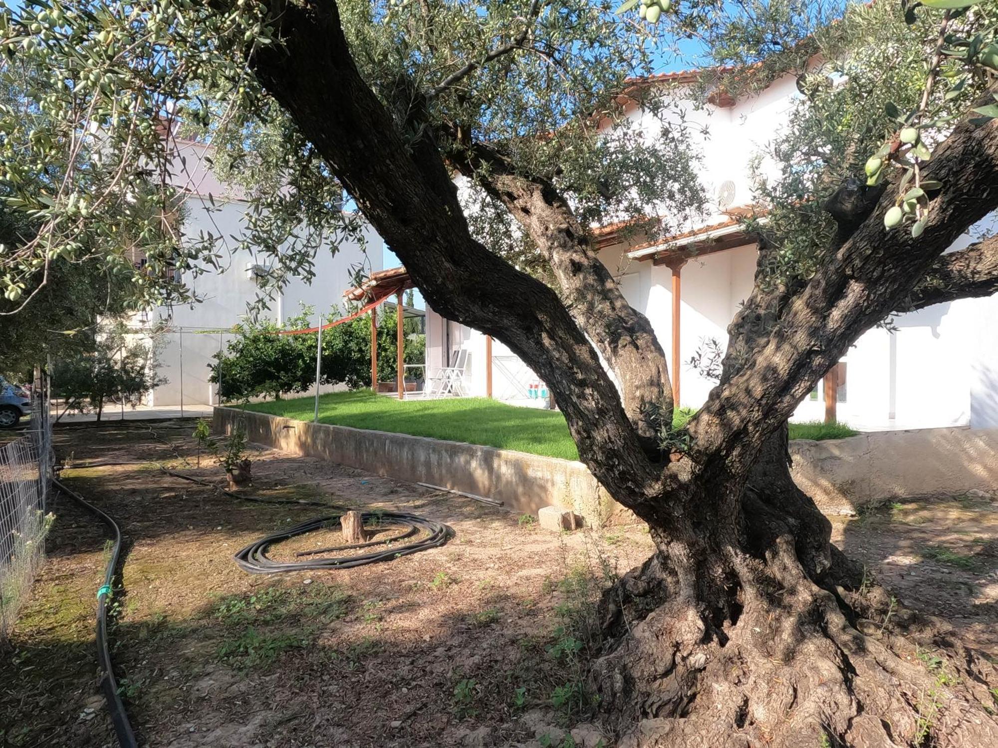 Villa Spiti Ostria Egio Exterior foto